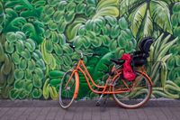 Brechter_Fahrrad im Grünen